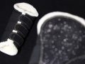 Pearl-Schabracken-Manufaktur-Dressurgamaschen-Springgamaschen-boots-Gamaschen-Glitzer-Beinschutz-Streichkappen-Schwarz-Pony-Cob-4-scaled-e1605298297705