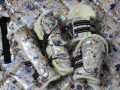 Pearl-Schabracken-Manufaktur-Dressurschabracke-Schabracke-Hologramm-Holofolie-Rose-Blumen-Tunier-Reiten-Pferd-Warmblut-Gamaschen-Dressurgamaschen-4-scaled-e1605301337516