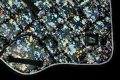 Pearl-Schabracke-Manufaktur-Dressurschabracke-Schabracken-Hologramm-Holofolie-Schwarz-Tunier-Reiten-Dressur-Springen-Springschabracke-Reitsport-Warmblut-4-scaled-e1609400121705
